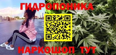 Альфа ПВП Лесосибирск