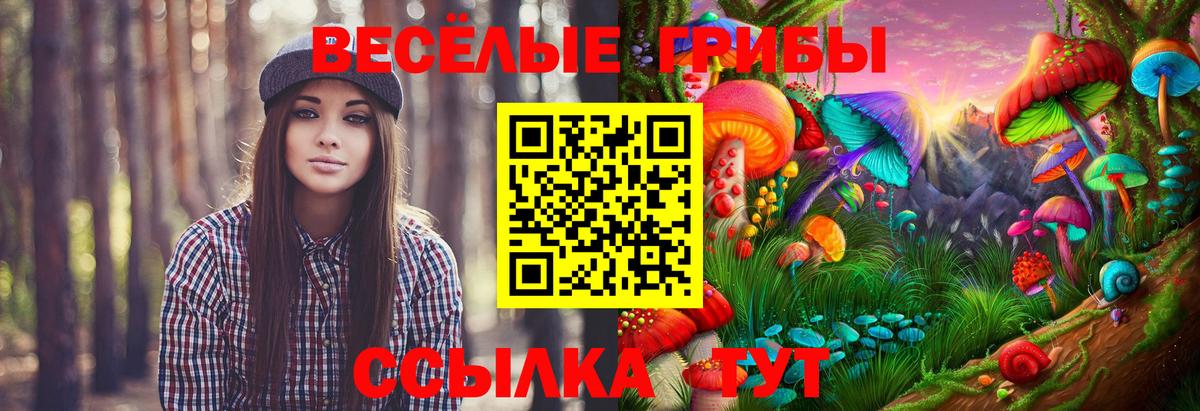 Галлюциногенные грибы GOLDEN TEACHER  Галлюциногенные грибы ЛСД  Жуковский  Вход с VPN 
