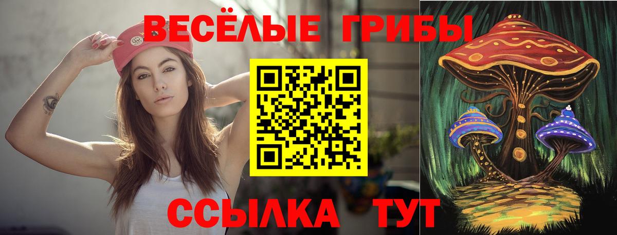 Галлюциногенные грибы Magic Shrooms Жуковский